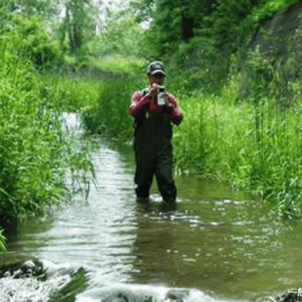 一般社団法人応用生態工学会