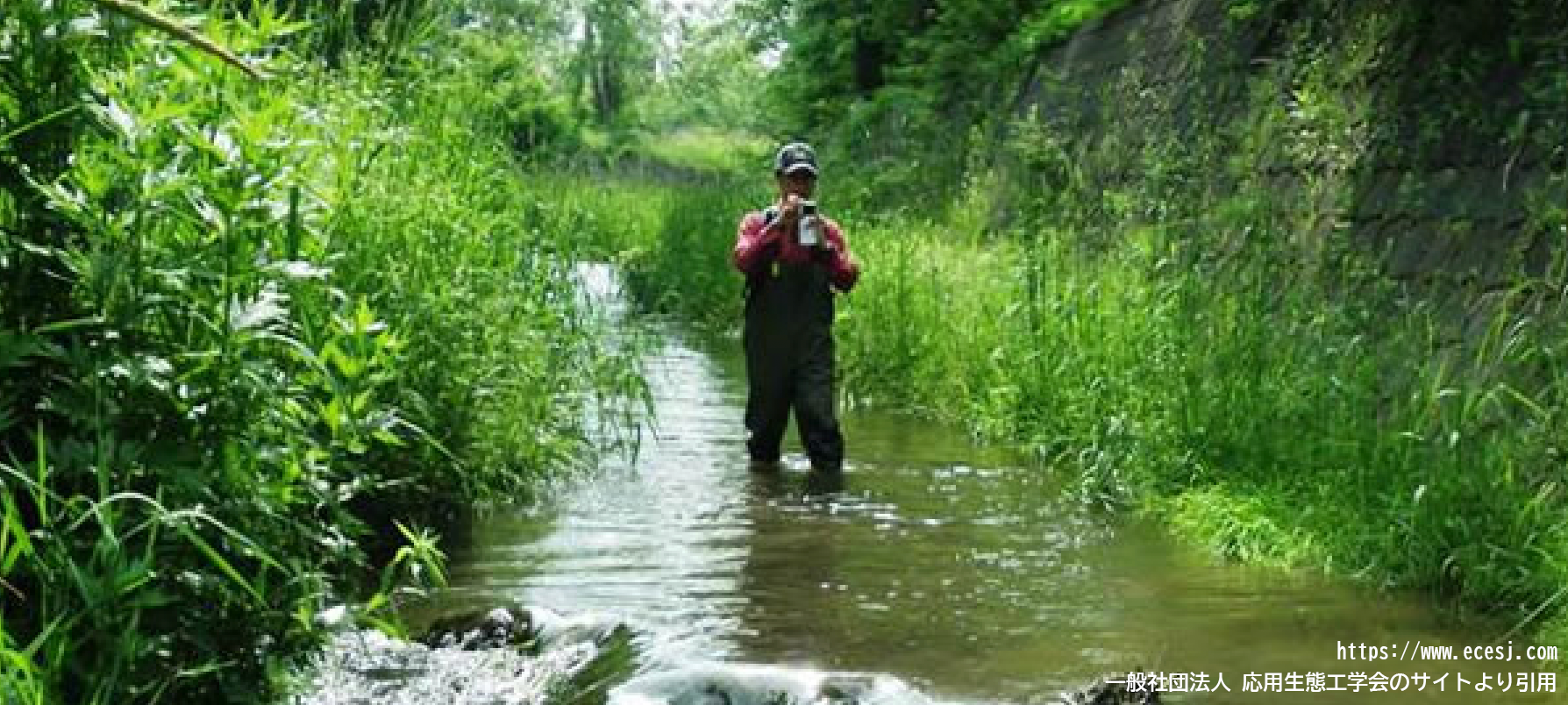 一般社団法人応用生態工学会